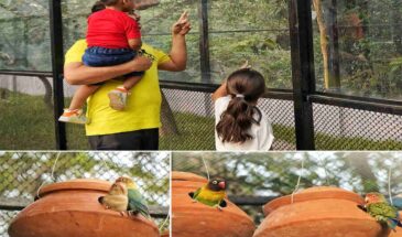 Alipore Zoological Garden of Kolkata Unveils India’s First Glass-enclosed Walk-In Aviary