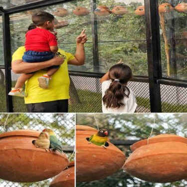 Alipore Zoological Garden of Kolkata Unveils India’s First Glass-enclosed Walk-In Aviary