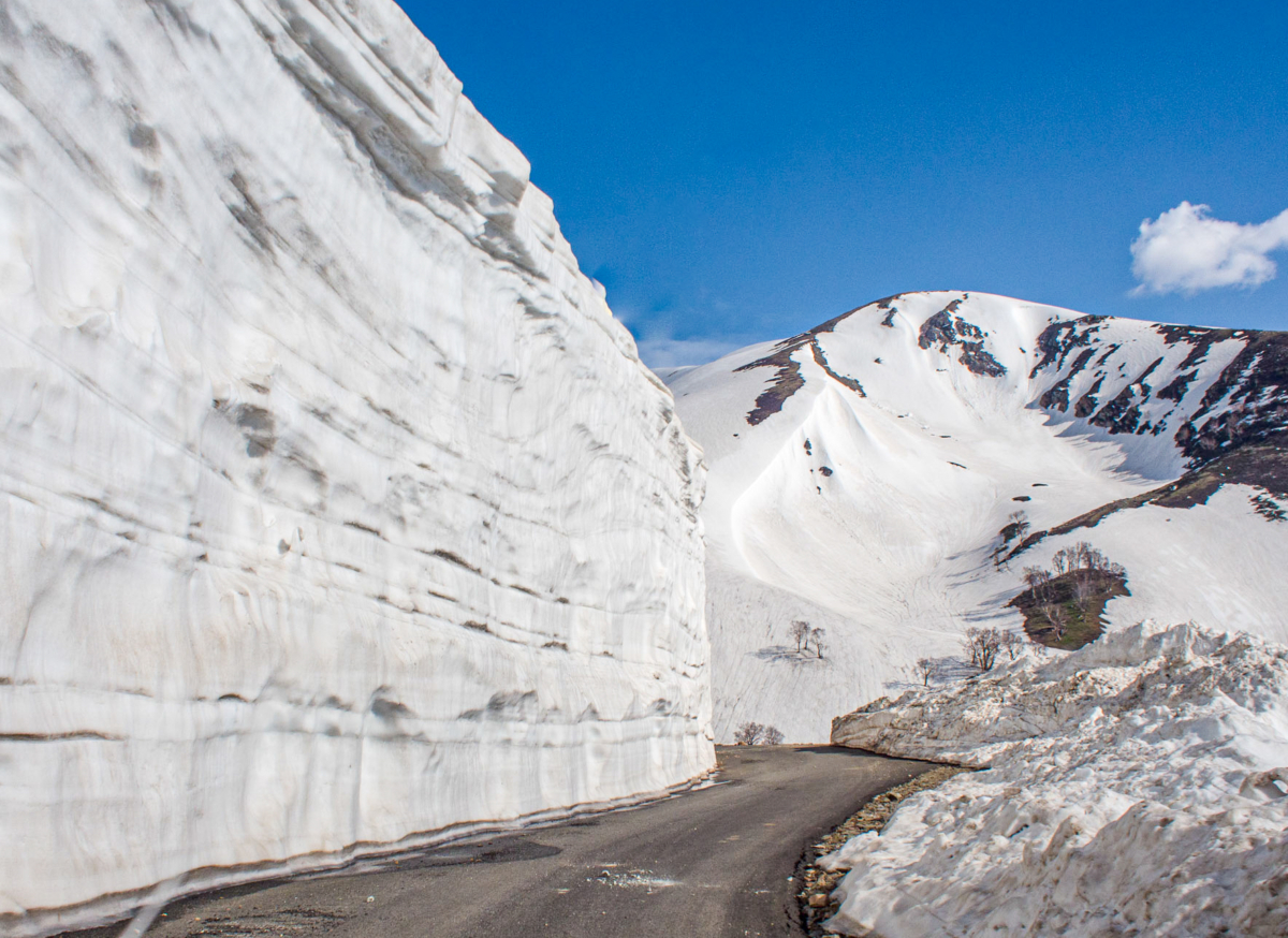 Kashmir Snowfall Updates (2024/2025)