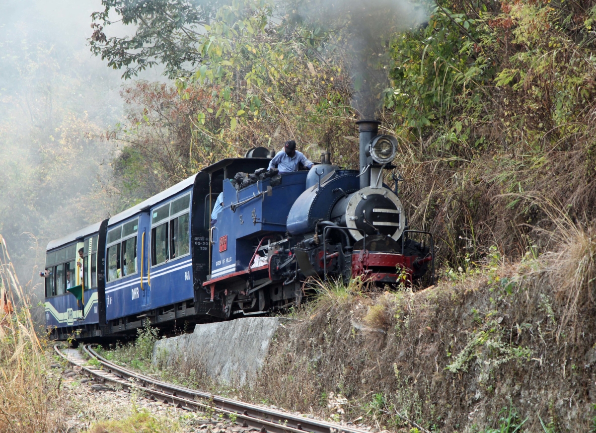 Darjeeling Toy Train