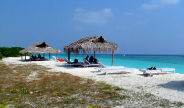A serene view of Kadmat Beach, a Blue Flag-certified paradise, featuring pristine white sands, crystal-clear turquoise waters, and well-arranged beach setups with sun loungers and umbrellas for a perfect tropical retreat.