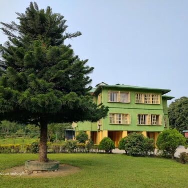 Discover the Best Forest Resorts & Bungalows in Dooars: A Paradise for Family Friendly Jungle Adventures in India