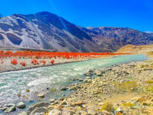 Places to Visit in Ladakh: Chumathang