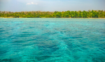 5N/6D Andaman Islands Hopping Luxury Package with Rani Jhansi Marine National Park