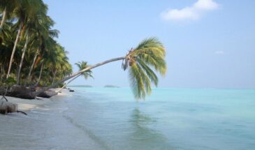 Thinnakara Island: Lakshadweep Tour Packages by SetMyTrip