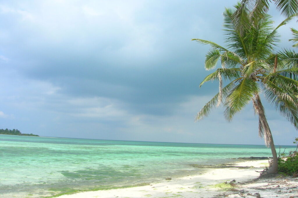 Experience the untouched beauty of Kalpeni Island on SetMyTrip's '10 Days Lakshadweep Wonders: Kavaratti & Kalpeni Island Escapade.' This serene scene captures Kalpeni's white sandy beaches, turquoise lagoons, and iconic leaning coconut palms under a cloudy sky—perfect for snorkeling, kayaking, and peaceful getaways amidst nature's tranquility.