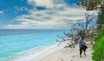 Immerse yourself in the tropical beauty of Kadmat Island's Eastern Lagoon Beach with SetMyTrip's '6 Nights 7 Days Agatti, Kavaratti & Kadmat Island Hopping Trip.' This serene beachscape features crystal-clear waters, pristine white sands, and lush greenery, offering a tranquil escape amidst Lakshadweep's enchanting island vibes.