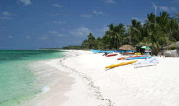 Indulge in luxury with SetMyTrip's '4 Days Bangaram Island Luxury Retreat.' Picture-perfect white sandy shores, fringed with swaying palm trees, meet crystal-clear turquoise waters, offering an exclusive escape to serenity and tropical bliss.