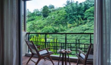 6N/7D Luxury Sikkim Darjeeling Honeymoon Package
