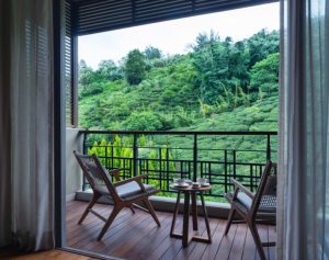 6N/7D Luxury Sikkim Darjeeling Honeymoon Package