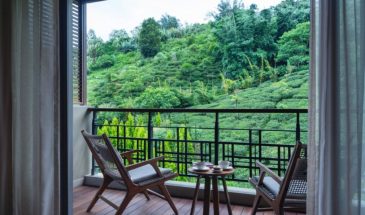 6N/7D Darjeeling & North Sikkim Honeymoon Package