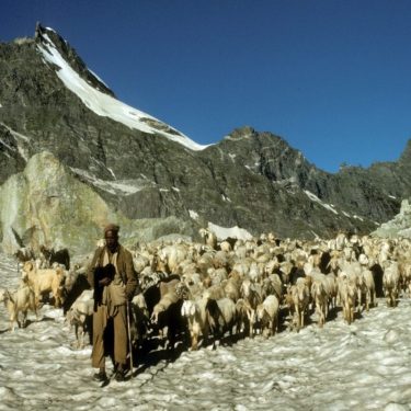 As Gaddi Shepherds Gets Stuck in Snow, Tourists Discover Offbeat Snow Destinations in Himachal Pradesh