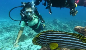 6N/7D Lakshadweep Kavaratti & Kadmat Scuba & Snorkeling Adventure Package