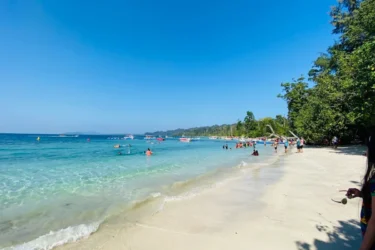 5N/6D Express South Andaman Honeymoon Retreat Island Hopping: Elephant Beach, Havelock, India