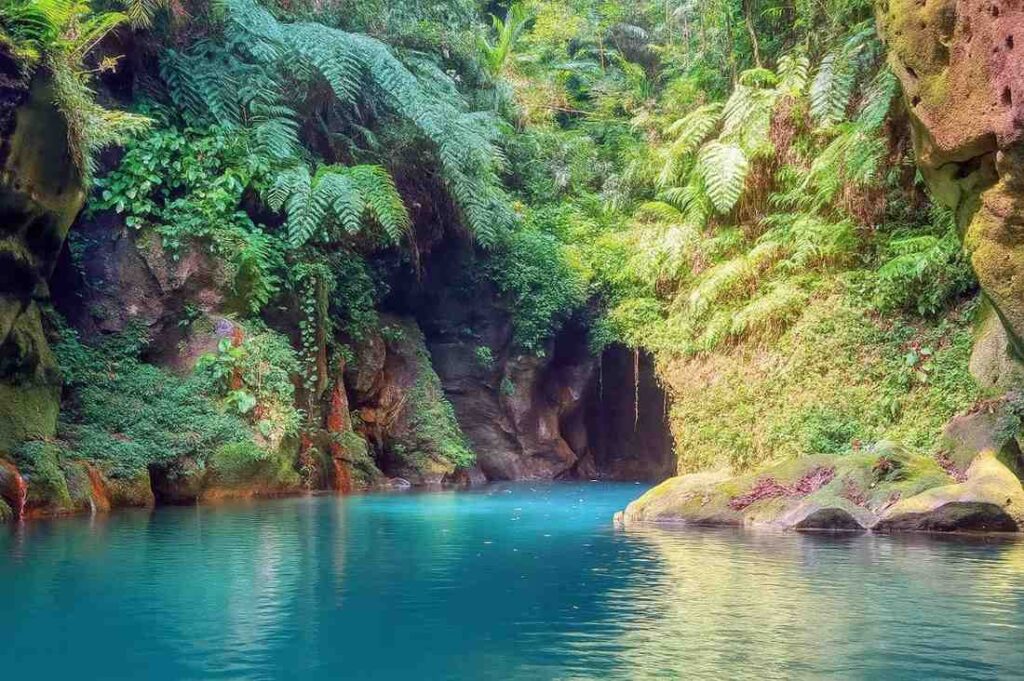 Wari Chora Meghalaya: The Hidden Canyon of the Garo Hills