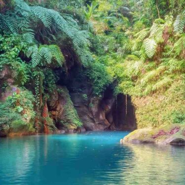 Wari Chora Meghalaya: The Hidden Canyon of the Garo Hills