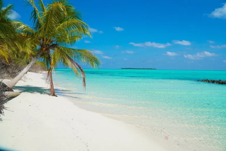 Thinnakara Island, SetMyTrip offers All Inclusive Luxury Island Vacations in Lakshadweep Archipelago including Bangaram and Thinnakara
