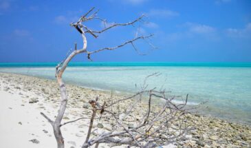 5 Nights 6 Days Lakshadweep Minicoy Island Leisure Trip by Ship
