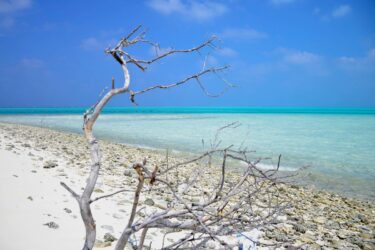 5 Nights 6 Days Lakshadweep Minicoy Island Leisure Trip by Ship