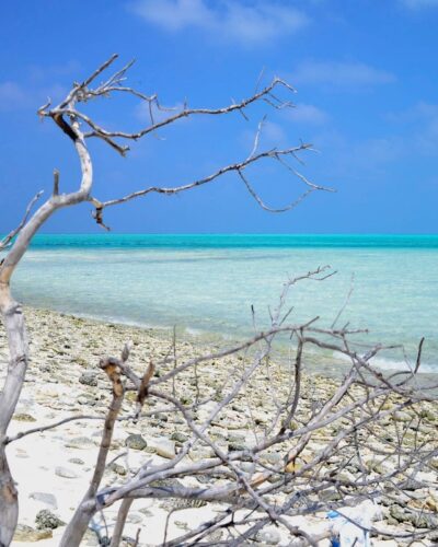 Lakshadweep Tour Packages