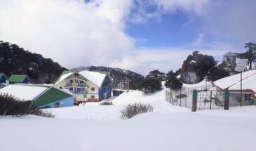 Sandakphu, Darjeeling Snow in Late March