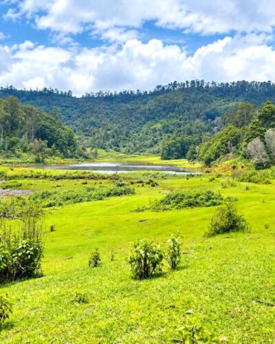 Kerala Tour Packages