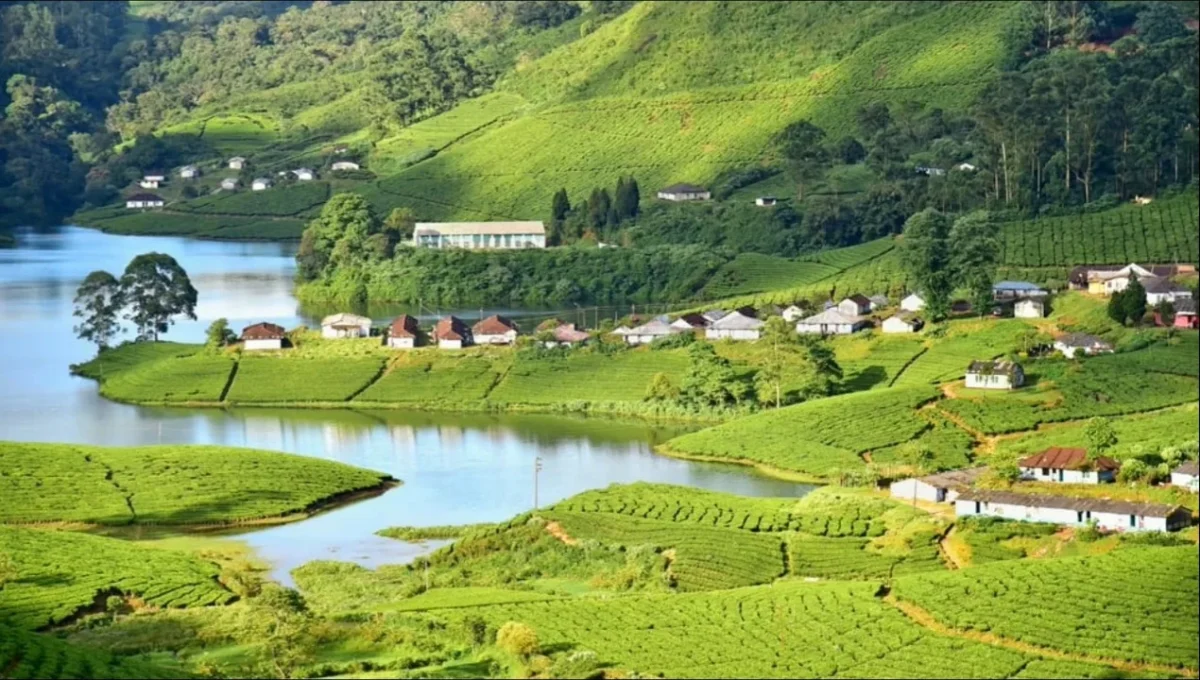 Munnar's Mountains: The Prime attraction in 6 Days Munnar Alleppey Thekkady Varkala Kerala Tour Package by SetMyTrip