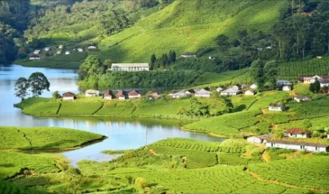 Munnar's Mountains: The Prime attraction in 6 Days Munnar Alleppey Thekkady Varkala Kerala Tour Package by SetMyTrip